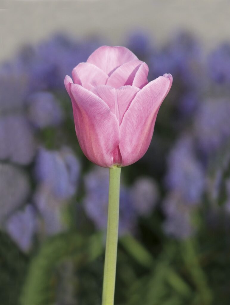 温泉旅行を一人で楽しむための予算の目安は？