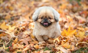 一人旅で楽しむ秋の温泉おすすめスポットは？