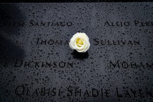 11月に行く国内旅行のおすすめスポットは？