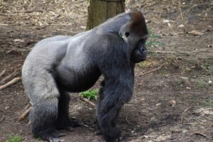 秋休み2025はいつから始まるのか詳しく解説しますか？