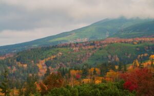 北海道で子連れにおすすめの秋旅行のプランは？