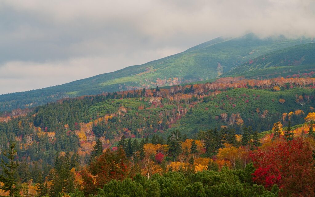 北海道の秋旅行で訪れるべき穴場スポットは？