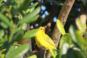 青森の温泉で楽しむ1泊2日おすすめプランは？