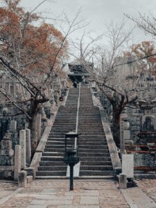 京都で子連れにおすすめの秋旅行スポットは？
