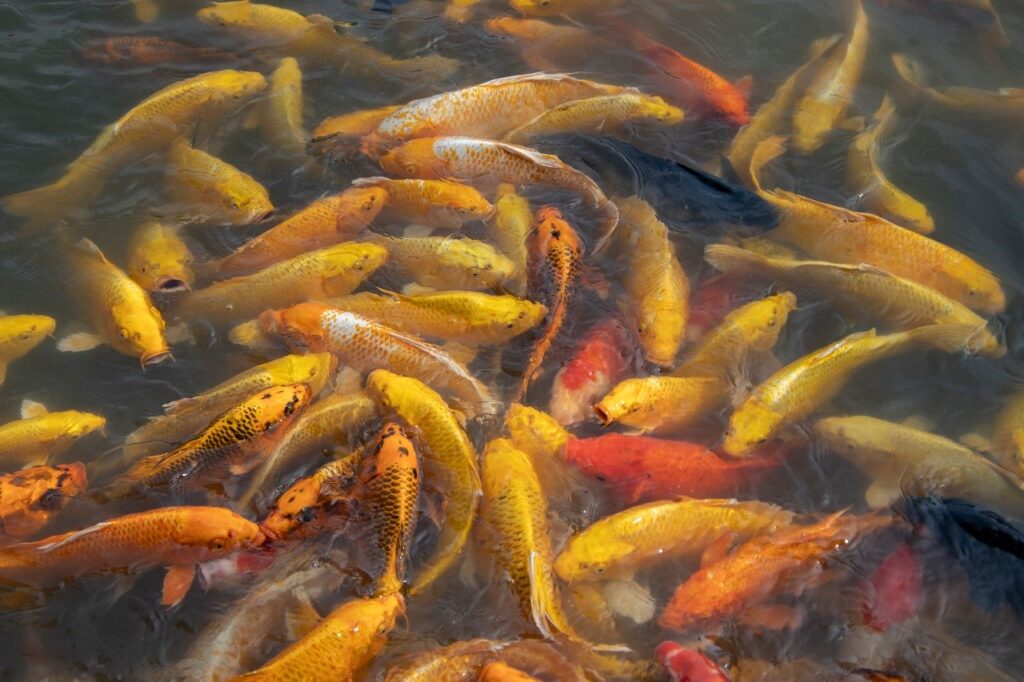 和歌山の連休における混雑回避の観光スポットは？