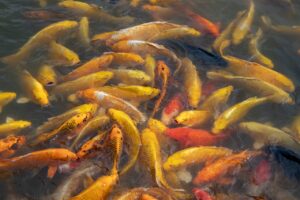 和歌山の連休における混雑回避の観光スポットは？