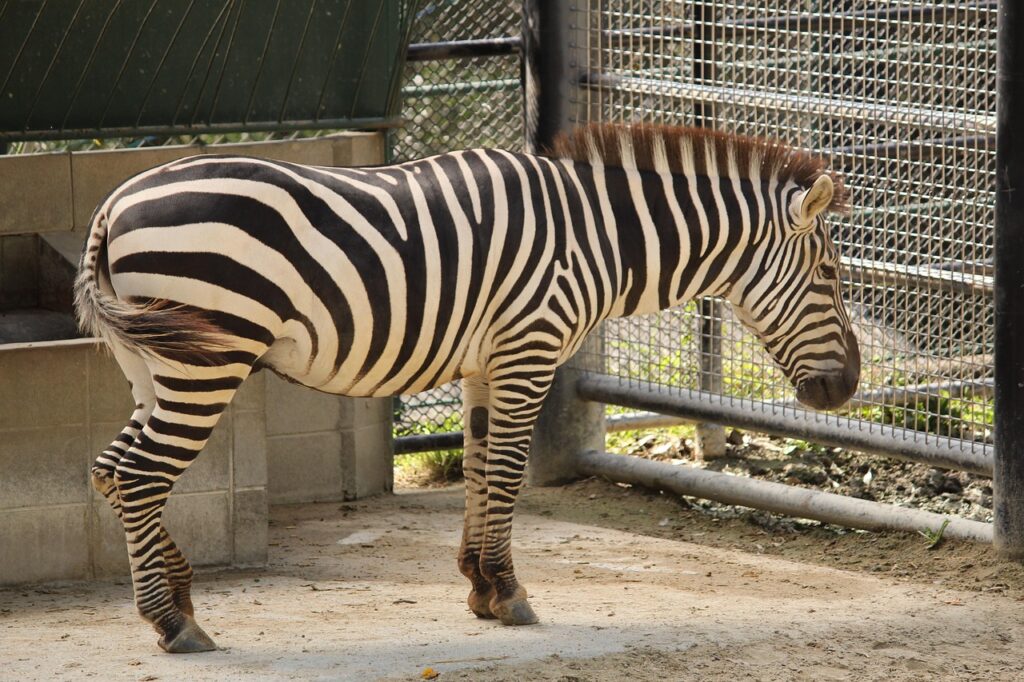 福岡で連休中の混雑回避におすすめの観光スポットは？