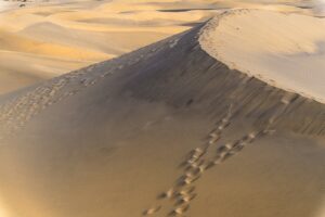 秋旅行におすすめの国内穴場温泉はどこですか？
