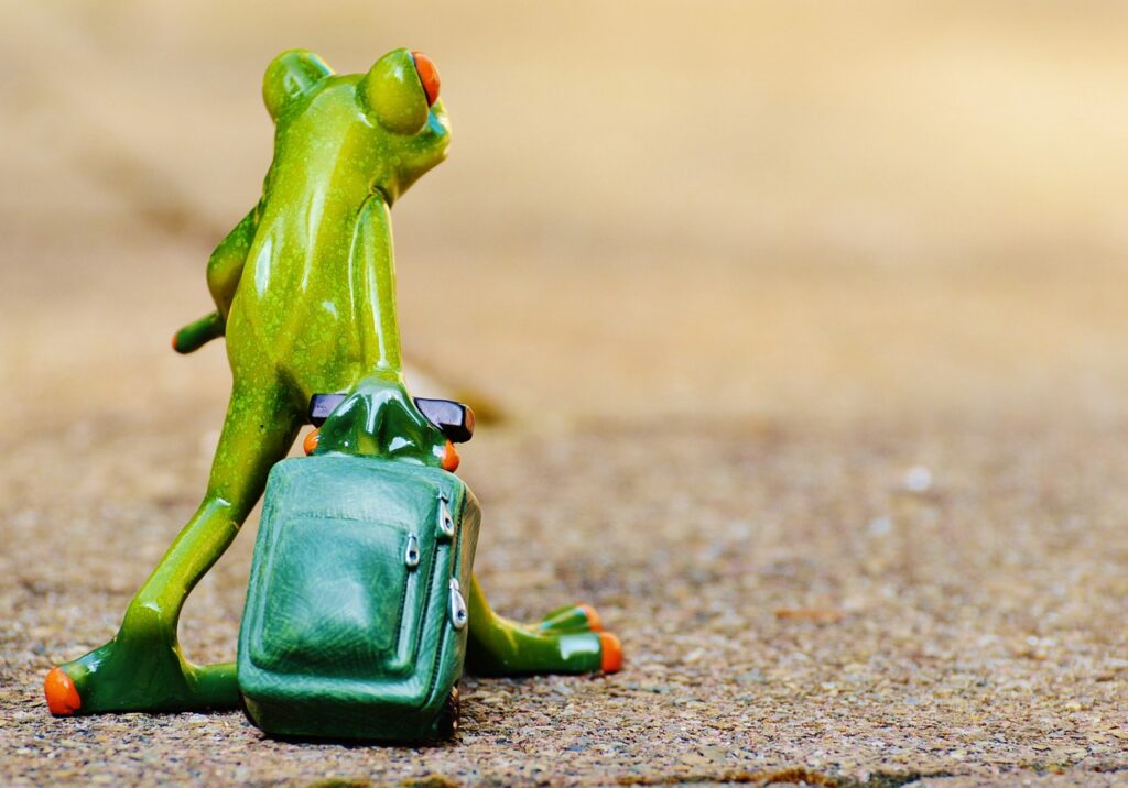 秋の旅行で素敵な思い出を作るためのポイントは？