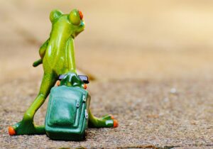 秋の旅行にぴったりなおすすめスポットはどこ？