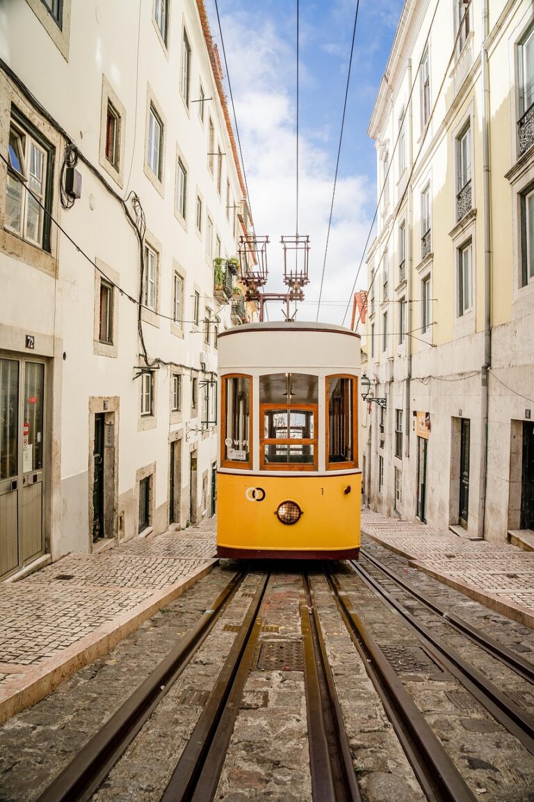 秋の旅行はどの旅行会社がオススメ？