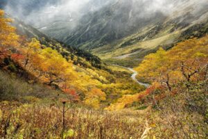 秋旅行は子供におすすめ？楽しい体験を見つけるポイントとは！