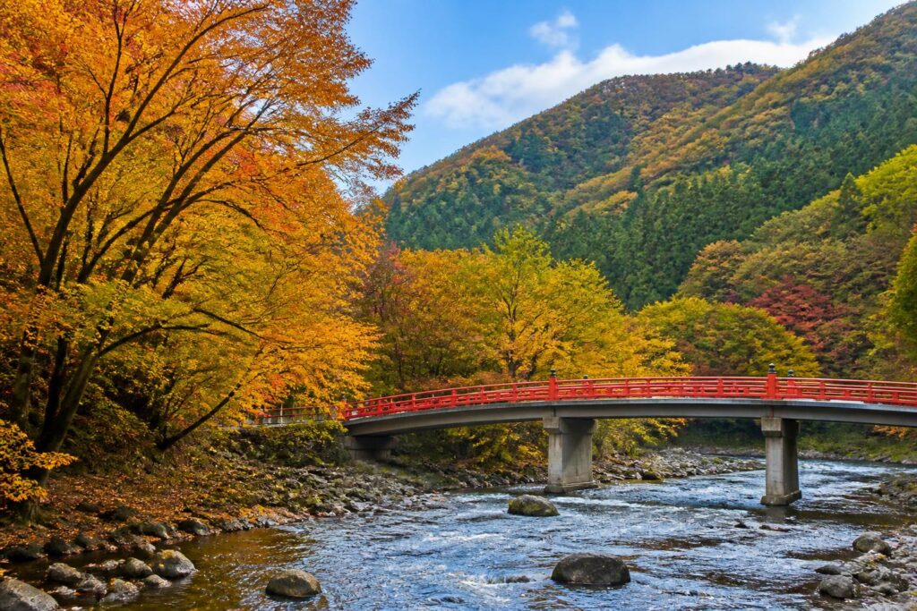 秋旅行にお得なホテル予約の早割はどこで見つけられる？