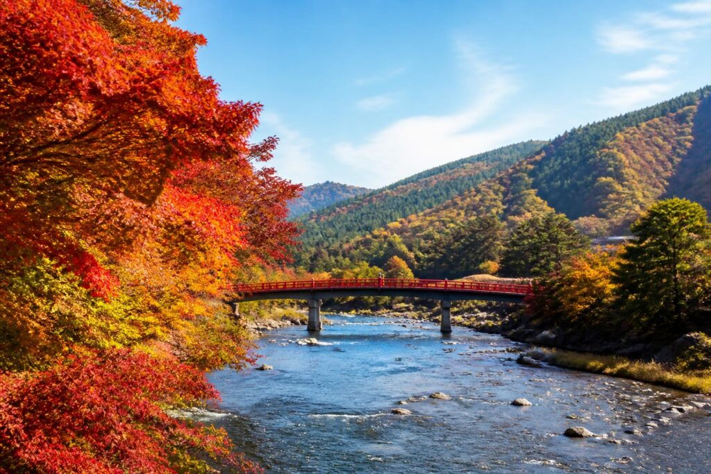 秋の旅行にぴったりな寺巡りのおすすめ国内スポットは？
