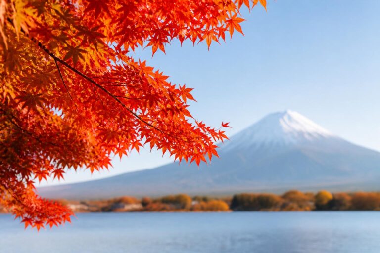 富山で子連れにおすすめの秋旅行プランは？