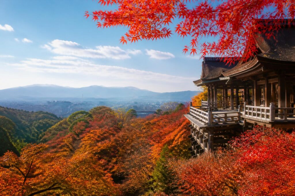 秋旅行におすすめの国内美術館は？
