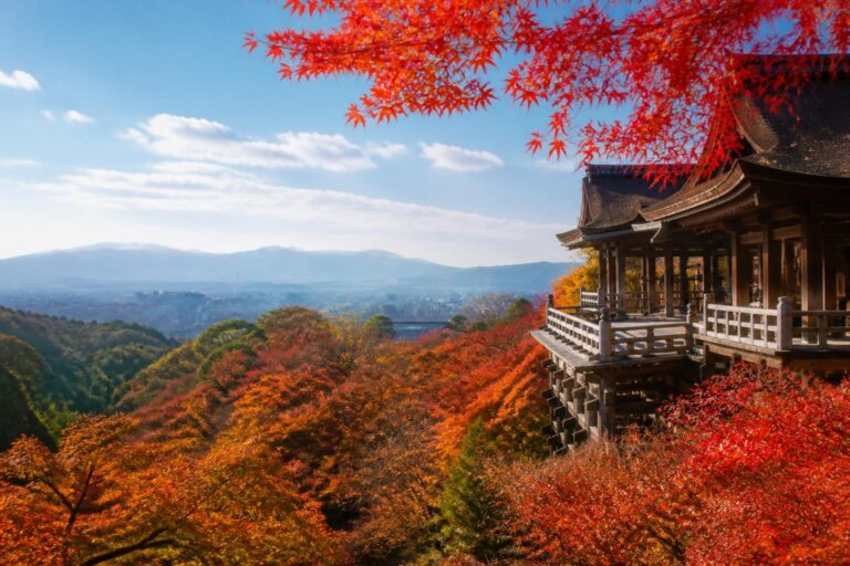 秋旅行におすすめの国内美術館は？