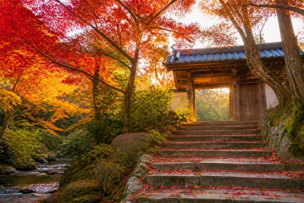 秋旅行で訪れたい国内の絶景写真スポットはどこ？